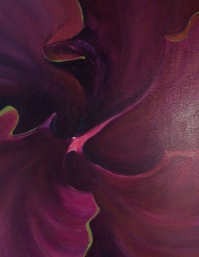 Flower,-Amapola-Purple